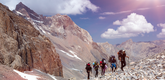 Everest Programme Coaching